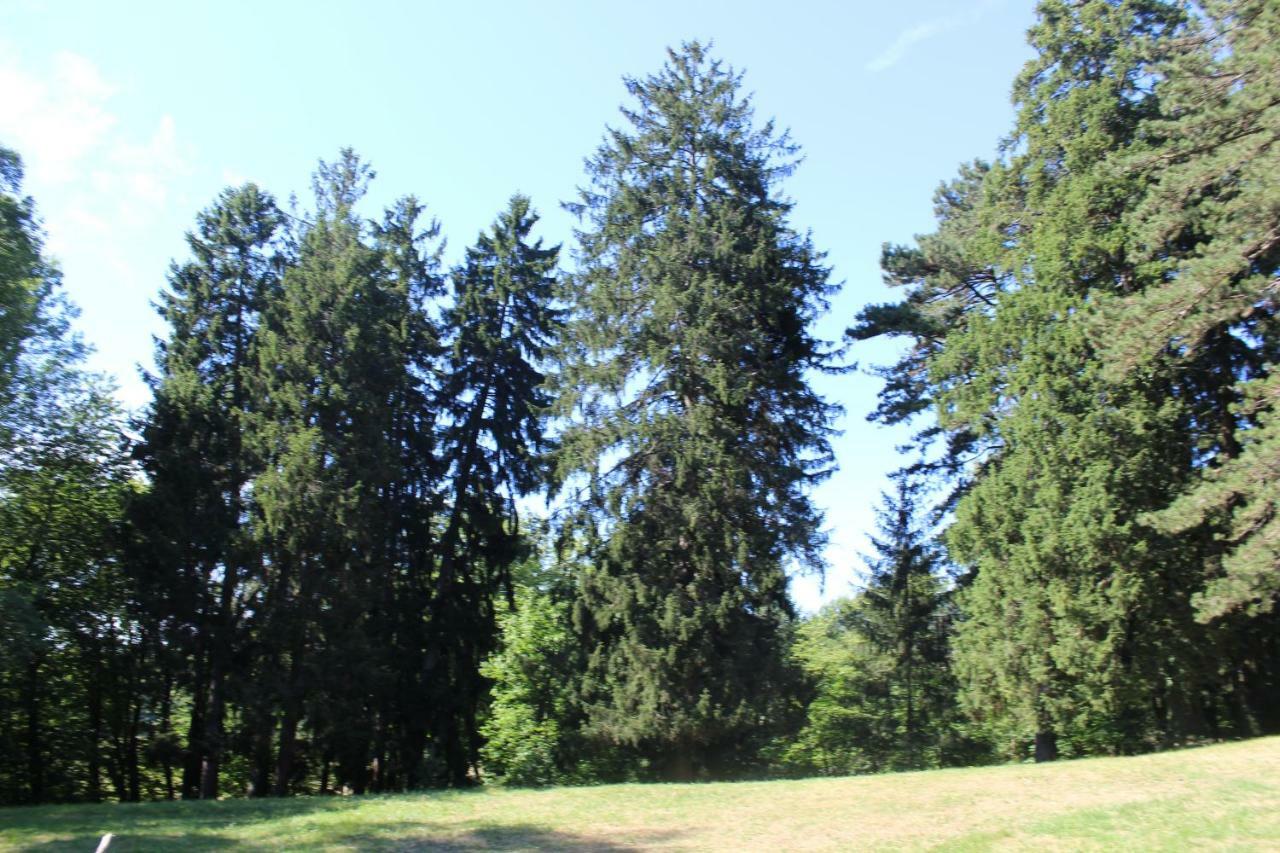 Gite 3 Du Chateau De Feschaux Villeneuve-sous-Pymont Екстер'єр фото